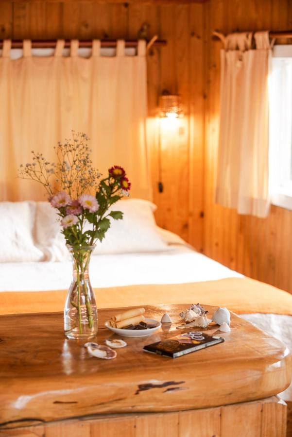 Primary hotel